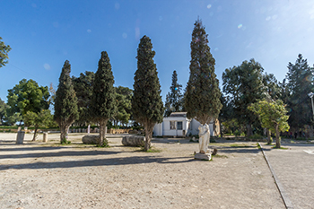 Le Musée de Carthage