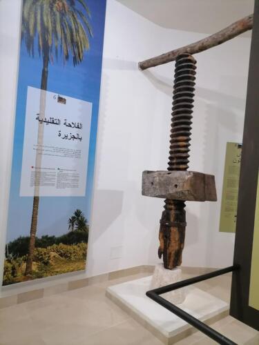 musee_sidi_zitouni5 Musée Sidi Zitouni - Djerba